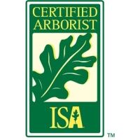 Arborist ISA Certification | Raven Tree