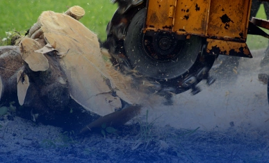 Stump grinding services with stum grinding equipment