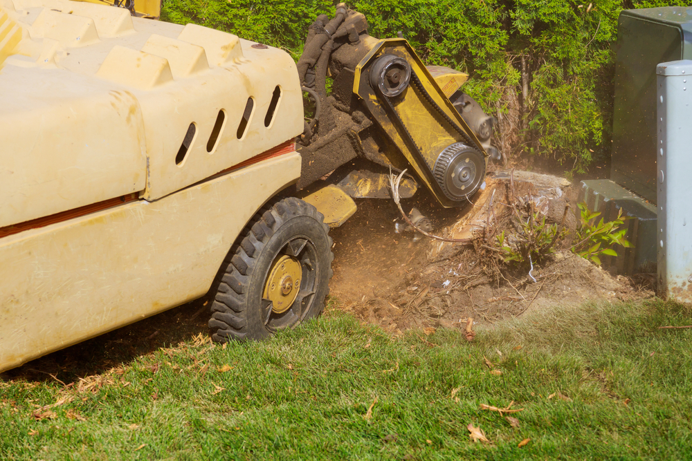 Man cuts fallen chunk crushing machine removed in action in dangerous work.